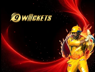 9 Wicket Cricket